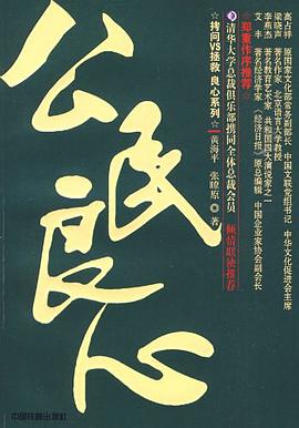 公民良心 pdf epub mobi 电子书 下载