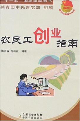 農民工創業指南 pdf epub mobi 電子書 下載