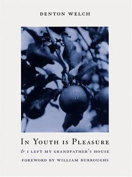 In Youth Is Pleasure & I Left My Grandfather's House pdf epub mobi 电子书 下载