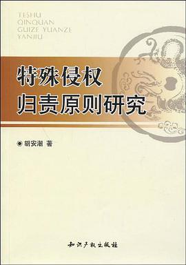 特殊侵权归责原则研究 pdf epub mobi 电子书 下载