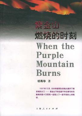 紫金山燃烧的时刻 pdf epub mobi 电子书 下载