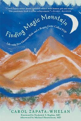 Finding Magic Mountain pdf epub mobi 电子书 下载