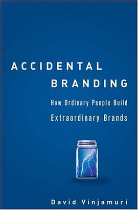 Accidental Branding pdf epub mobi 电子书 下载