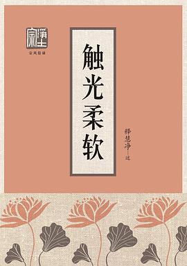 触光柔软 pdf epub mobi 电子书 下载