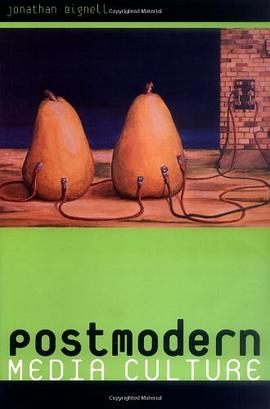 Postmodern Media Culture pdf epub mobi 电子书 下载