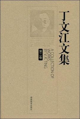 丁文江文集（第二卷） pdf epub mobi 电子书 下载