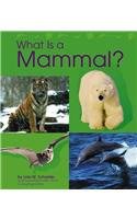 What Is a Mammal? pdf epub mobi 电子书 下载