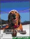 我們與狗的故事 pdf epub mobi 電子書 下載