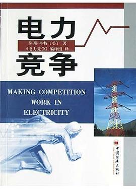 电力竞争 pdf epub mobi 电子书 下载