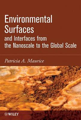 Environmental Surfaces and Interfaces from the Nanoscale to the Global Scale pdf epub mobi 电子书 下载