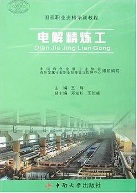 電解精煉工 pdf epub mobi 下载