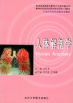 人体解剖学 pdf epub mobi 电子书 下载