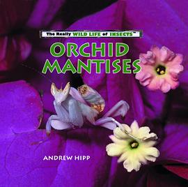 Orchid Mantises pdf epub mobi 电子书 下载