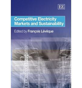Competitive Electricity Markets And Sustainability pdf epub mobi 电子书 下载