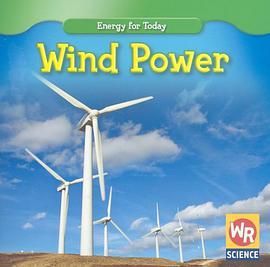 Wind Power pdf epub mobi 电子书 下载