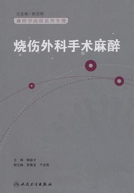 烧伤外科手术麻醉 pdf epub mobi 电子书 下载