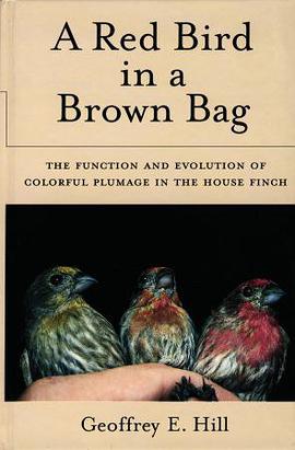 A Red Bird in a Brown Bag pdf epub mobi 电子书 下载