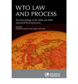 Wto Law and Process pdf epub mobi 電子書 下載