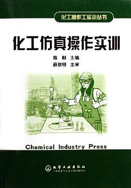 化工仿真操作实训 pdf epub mobi 电子书 下载