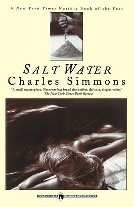 Salt Water pdf epub mobi 電子書 下載