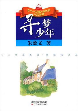 寻梦少年 pdf epub mobi 电子书 下载