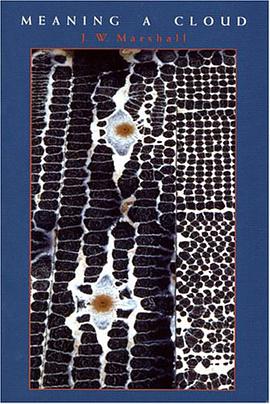 Meaning a Cloud pdf epub mobi 電子書 下載