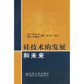 硅技术的发展和未来