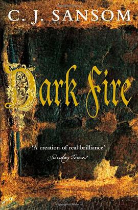 Dark Fire pdf epub mobi 下载
