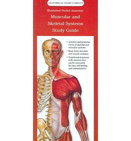 Illustrated Pocket Anatomy, Muscular And Skeletal Systems Study Guide pdf epub mobi 电子书 下载