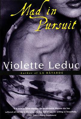 Mad in Pursuit pdf epub mobi 电子书 下载