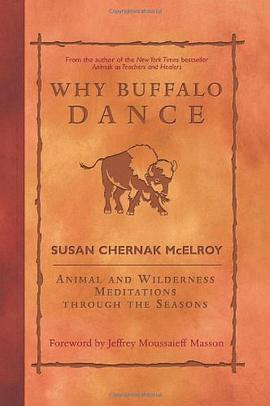 Why Buffalo Dance pdf epub mobi 电子书 下载