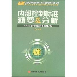 内部控制标准精要及分析 pdf epub mobi 电子书 下载