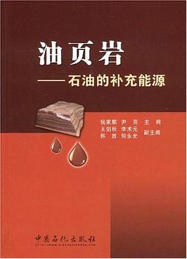 油页岩 pdf epub mobi 电子书 下载
