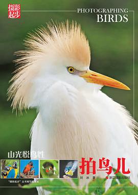 山光悅鳥性：拍鳥兒 pdf epub mobi 電子書 下載