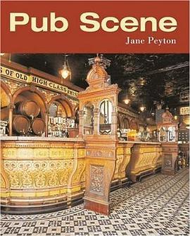 公共景观 Pub Scene pdf epub mobi 电子书 下载