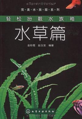 轻松扮靓水族箱