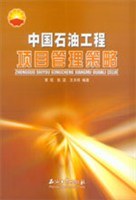 中國石油工程項目管理策略 pdf epub mobi 電子書 下載
