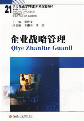 企业战略管理 pdf epub mobi 电子书 下载