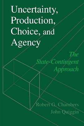 Uncertainty, Production, Choice, and Agency pdf epub mobi 电子书 下载