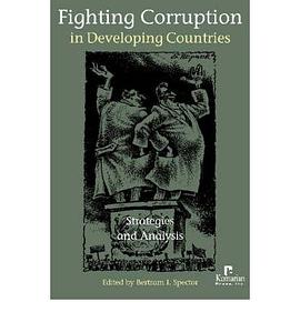 Fighting Corruption In Developing Countries pdf epub mobi 下载