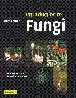 Introduction to Fungi pdf epub mobi 电子书 下载
