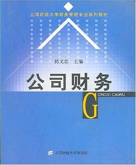 公司财务 pdf epub mobi 电子书 下载