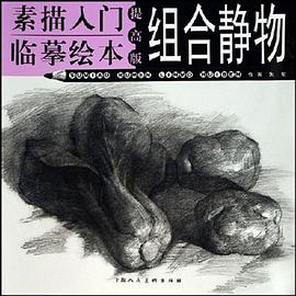 组合静物-素描入门临摹绘本 pdf epub mobi 电子书 下载