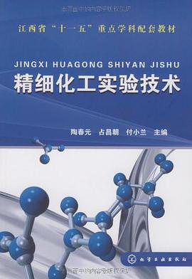 精细化工实验技术 pdf epub mobi 电子书 下载