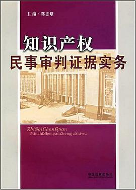 知识产权民事审判证据实务 pdf epub mobi 电子书 下载