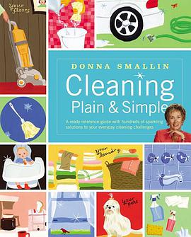 Cleaning Plain & Simple pdf epub mobi 电子书 下载