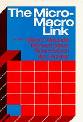 The Micro-Macro Link pdf epub mobi 电子书 下载