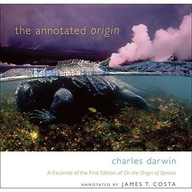 The Annotated Origin