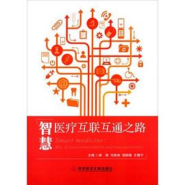 智慧医疗互联互通之路 pdf epub mobi 电子书 下载
