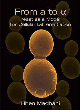 From a to A pdf epub mobi 电子书 下载